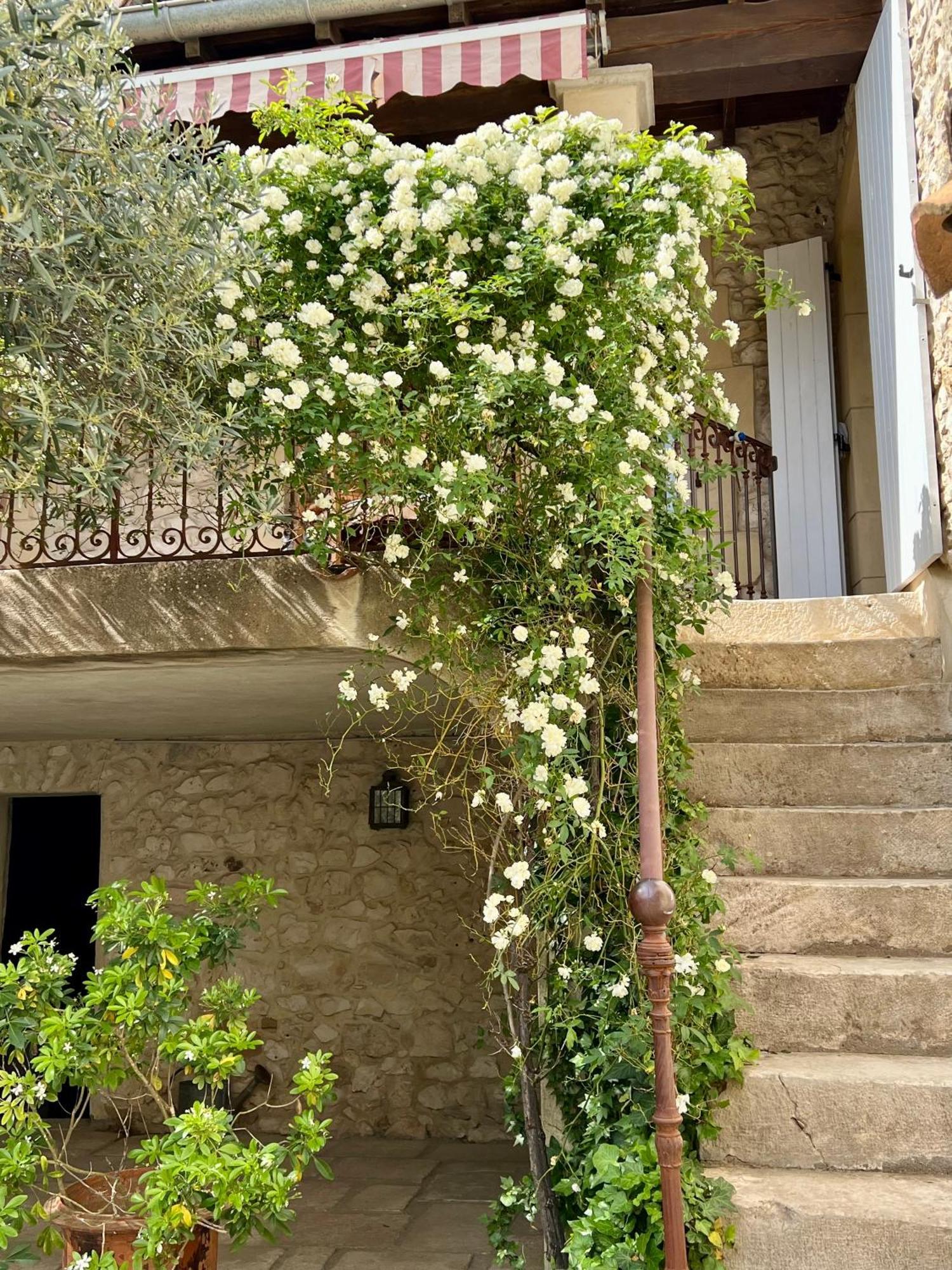 La Maison Des Autres, Piscine Chauffee, Chambres D'Hotes Proches Uzes, Nimes, Pont Du Gard Saint-Genies-de-Malgoires Exterior foto